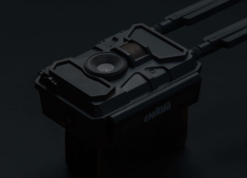 Simple AGS 2020 08 Aug 07 0310